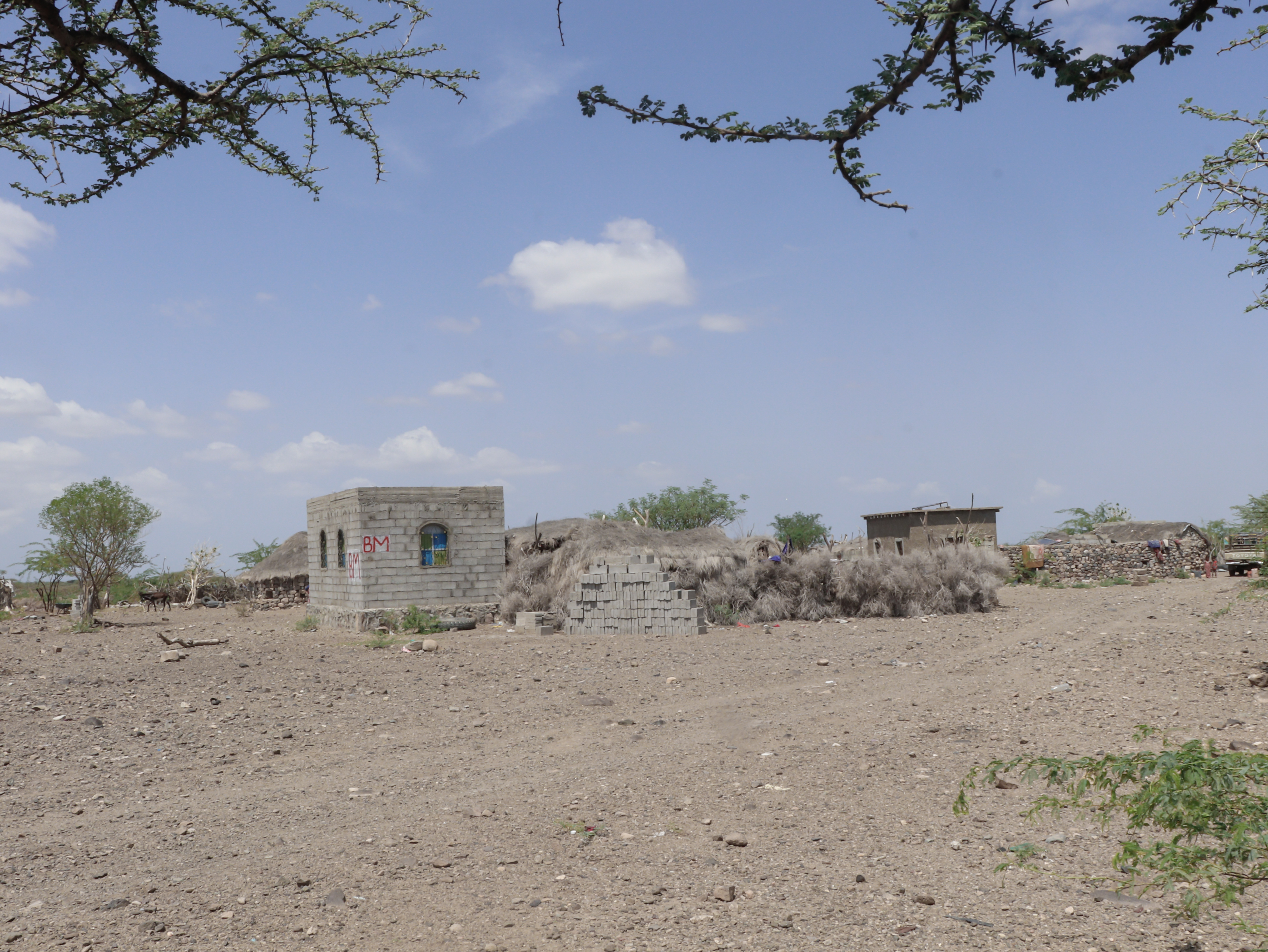 The story of Mohammed 