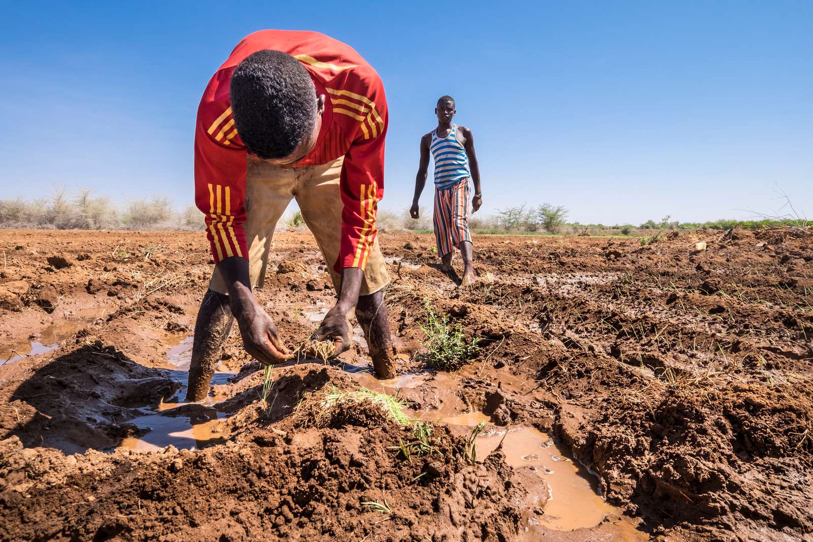 Reversing displacements environmental impact 