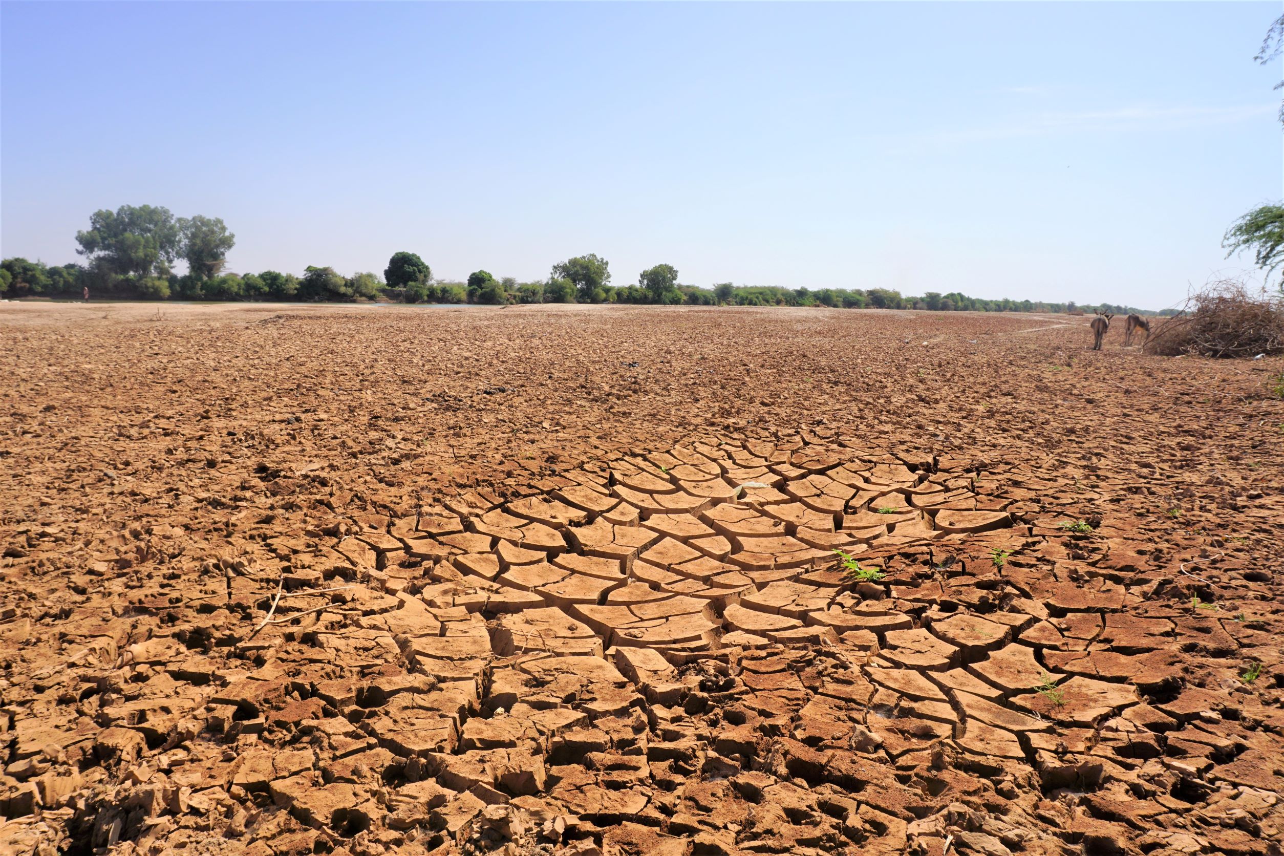 Over 80% of Somalia is facing drought conditions, and 1.4 million people are expected to be displaced in the coming months.