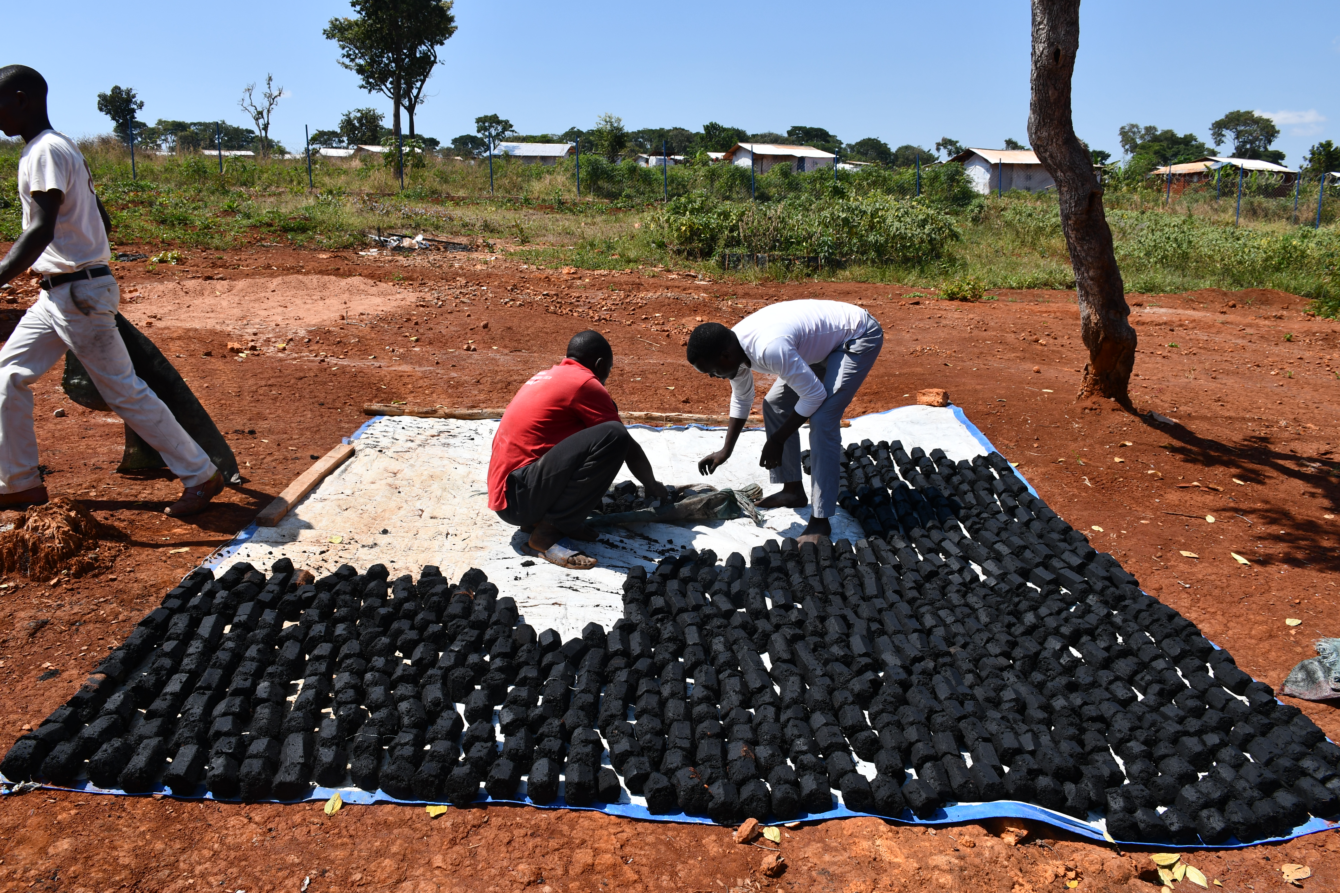 Training in bio-briquette production, Tanzania