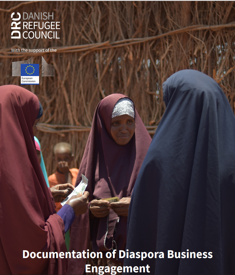 Documentation of Diaspora Business Engagement in the Somali Regional State of Ethiopia