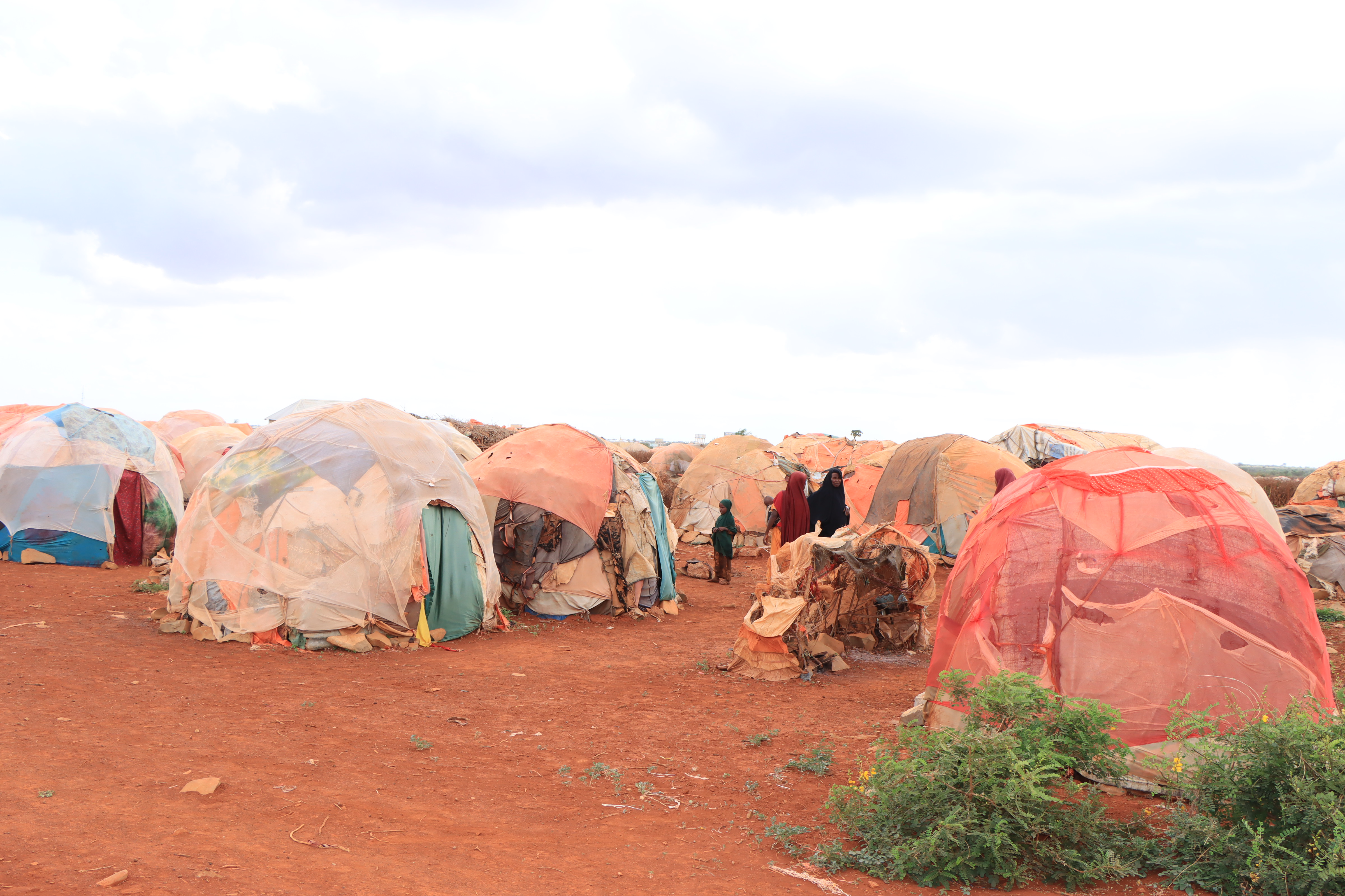 An IDP Camp in Baidoa where newly arrived IDPs have settled therefore stretching the already limited services.